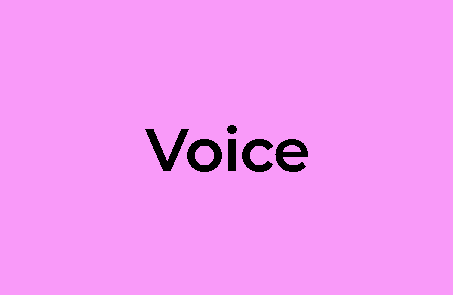 Voice Reel Box - Pink Voice Reel Link